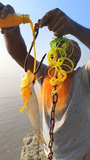 Watch how a large shark is being hunted by mixing juice with a one-kilogram hilsa fish on the river bank# River Fishing Bait # Short video by | Fishing BD.R