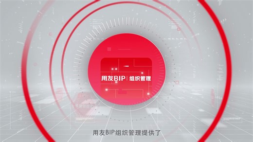 第1节：用友BIP多维组织