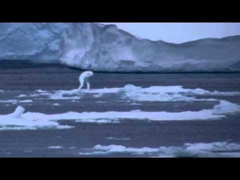 Whale Researchers Observe Ningen Sea Monster In Icy Antartica