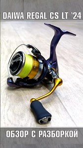 🔥 DAIWA REGAL CS LT 2024 REEL 🔥 Review with disassembly