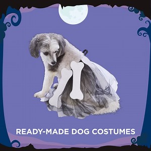 Trick or (dog)Treat! 🎃 Get your doggo ready for Halloween with these adorable scary dog costumes! | Spotlight