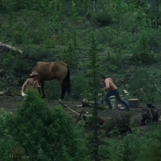 Maybe in Another Universe: Brokeback Mountain Edit