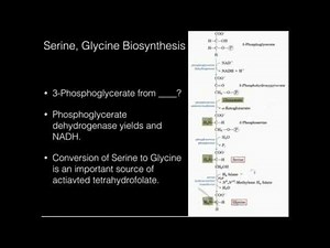 Serine, Glycine Biosynthesis