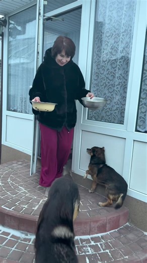 What do they see 🤪