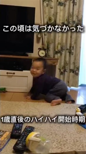 【1歳】ハイハイを始めた頃の様子｜後に重度知的障害・自閉症と診断された息子