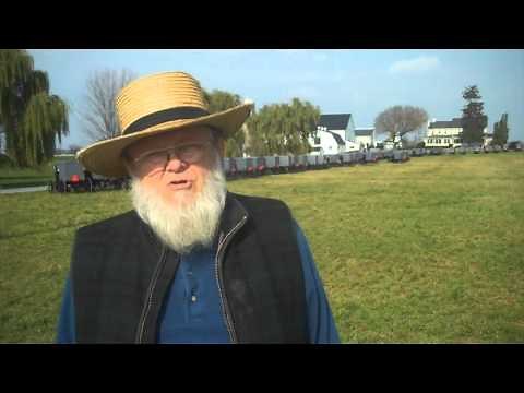 Amish Weddings
