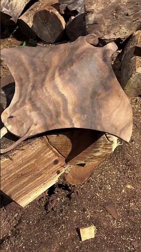 Manta Ray Wood Art Carved by Hand