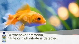 Watch How to use API Aqua Essential All-in-one water conditioner for aquariums on Amazon Live