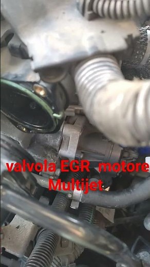 Multijet engine EGR valve