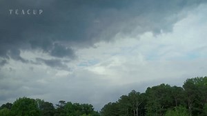 Check out the official trailer for James Wan's new horror series 'Teacup' "It follows a disparate group of people in rural Georgia who must come together in the face of a mysterious threat in order to survive." The series stars Yvonne Strahovski, Scott Speedman, Chaske Spencer, Kathy Baker, Boris McGiver, Caleb Dolden, Emilie Bierre, and Luciano Leroux. The first two episodes premiere October 10th on Peacock, and will be followed by two episodes weekly through Halloween. [📽 via Rotten Tomatoes 