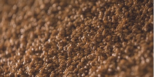 Latvia becomes first EU country to ban grain imports from Russia and Belarus