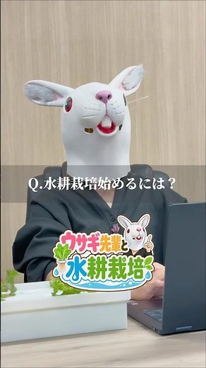 水耕栽培初心者必見！水耕栽培に必要なものを解説します！#水耕栽培 #野菜栽培 #家庭菜園初心者