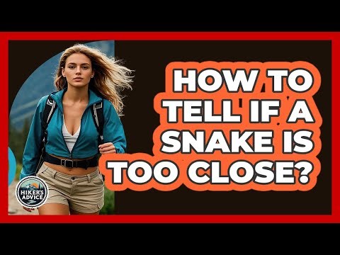How To Tell If A Snake Is Too Close?