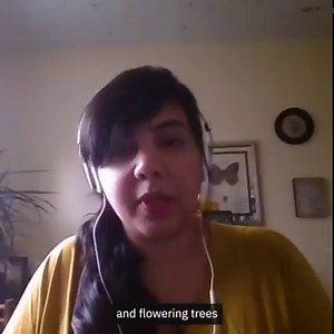 1.7K views · 1.4K reactions | What can you do to protect our pollinators this #WorldBeeDay? Bee Ecology, Evolution & Conservation (BEEc) at York co-director Sheila Colla explains how helping scientists and researchers gather data about wild pollinators is vital for conservation purposes.  | York University | Facebook