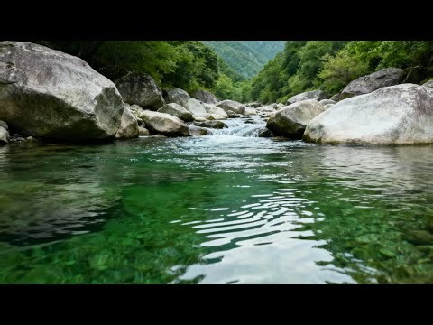 10 Hours Real Stream Water Sounds | Natural River White Noise for Deep Sleep & Relaxation (No Music)