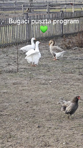 Bács-Zöldért Zrt. on Reels
