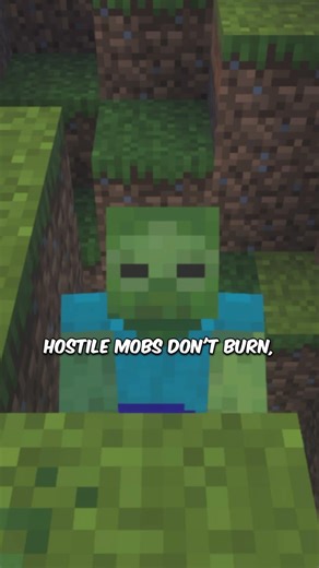 The "Red Sun" Event: Why you must delete your world. ☀️🚫