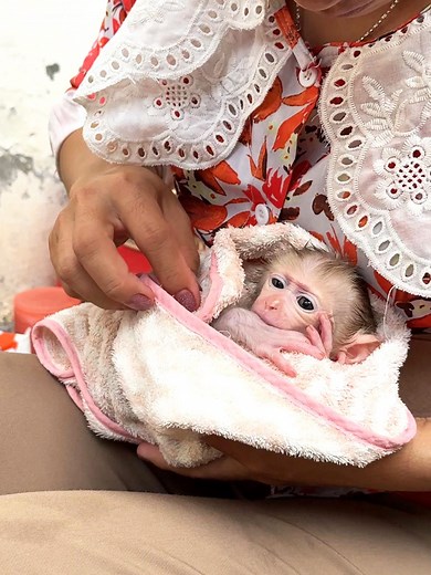 The Judy Family on TikTok