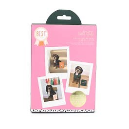 Violet Studio Milestone Cards - Best In Show