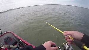 Watch SteelShad - Lipless Crankbait for Freshwater & Saltwater Fishing - Long Casting Bass Lure Perfect... on Amazon Live