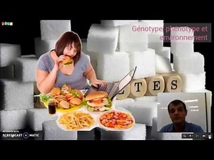 Phénotype, génotype et environnement