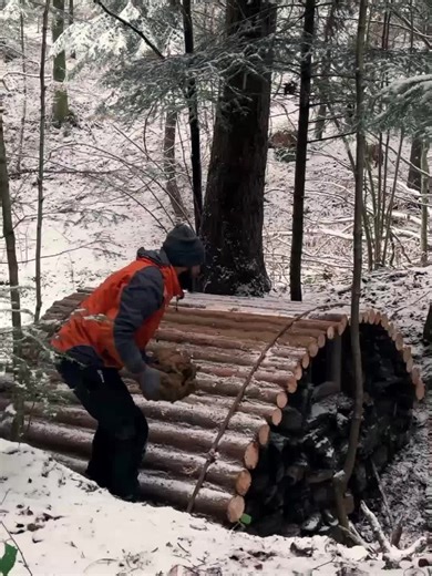 How to Build a Winter Shelter in the Forest