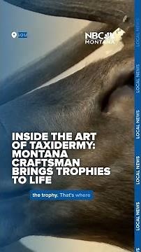 Inside the art of taxidermy: Montana craftsman brings trophies to life