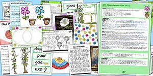 KS1 Plants Lesson Ideas and Resource Pack