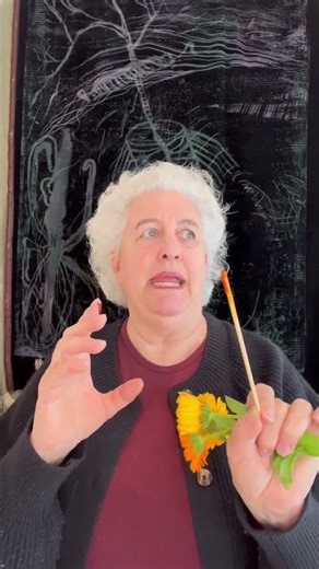 Why Calendula CO2 Extract Is So Concentrated #naturalskincare