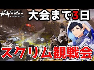 【神視点】残り3日本番想定プロスクリムAvsC ESCL Apex Legends 【APEX】