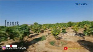 282K views · 7.9K reactions | Fenomena Menakjubkan Pegunungan Mekkah Menghijau, Pertanda Apa - INSERT STORY (9.1.23) | Trans TV | Facebook