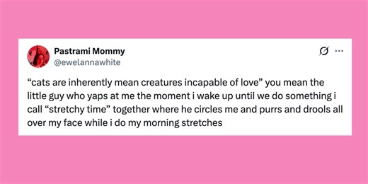 24 Of The Funniest Posts About Cats And Dogs This Week (Feb. 14-20)