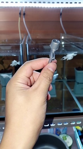 59K views · 464 reactions | Basic tips for Air Controller #CedFK #aquarium #aquariumhobby #fishtank #pet | Ced FK | Facebook