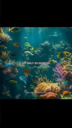 Expectations vs Reality: The TRUTH Behind the Illusion