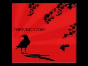Thriving Ivory - Angels on the moon(acoustic).wmv