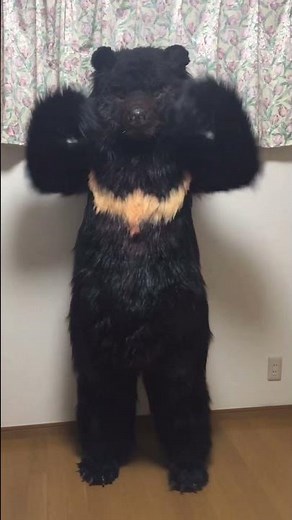 #寝起き だクマー！#ツキノワグマ #ケモノ着ぐるみ #熊の寝袋 #リアル着ぐるみ #着ぐるみ #ハンドメイド #ハンドメイド作家 #cutebear #furry #fursuit #クマ #熊