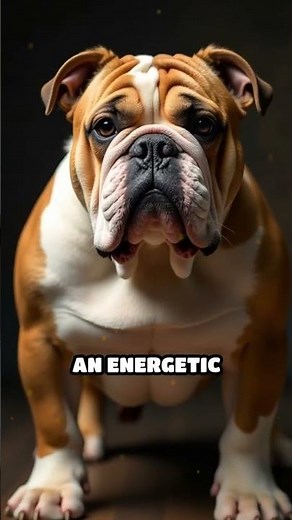 Old English Bulldog: The Athletic Bulldog Legacy