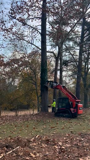 Sound up!! Listen to that Red Beard Husqvarna sing!! Kevin's Tree Service, LLC | Kevin's Tree Service, LLC
