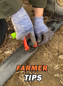 1.1M views · 2.8K reactions | Farmer Tips | Trend Rush | Facebook