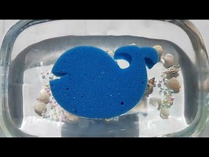 Wet whale sponge squeezing & ripping ASMR #sponge