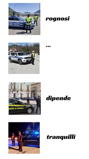 Motivi per cui potrei non amare la polizia locale