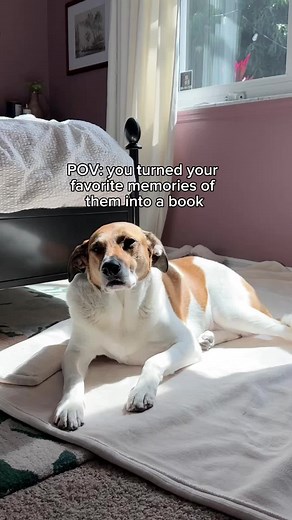 Create a Personalized Dog Photobook
