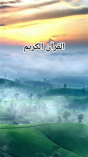 Quran Urdu Transulation💯❤️#islamicshorts #islamicscripture #quranictranslation