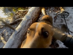 Michigan Metal Detecting!