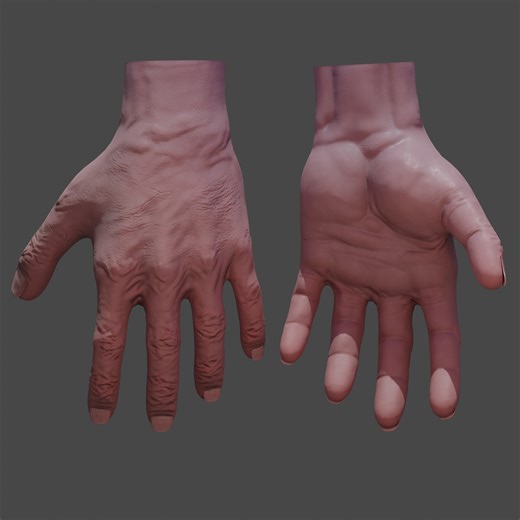 3D Modeling: Hand (Hand Anatomy practice and LOD porgress practice), Jeff Kim