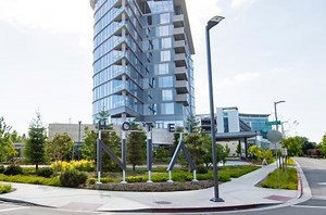 Millenia™ - Family - Sternberg