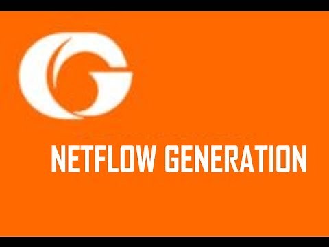 GigaSMART® Netflow Generation