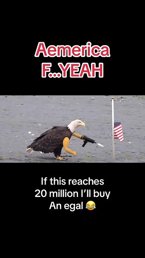 #fyp #fypシ #fypシ゚viral #meme #fy #foryou #foryoupage america F yeah | america f yeah