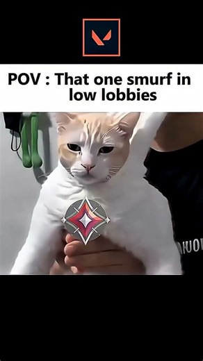 smurfs #valorant #valorantclutchmoments #valorantmemes #valorantclips #valorantlive #valorantsmurf