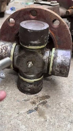 Double handle locking grease fitting